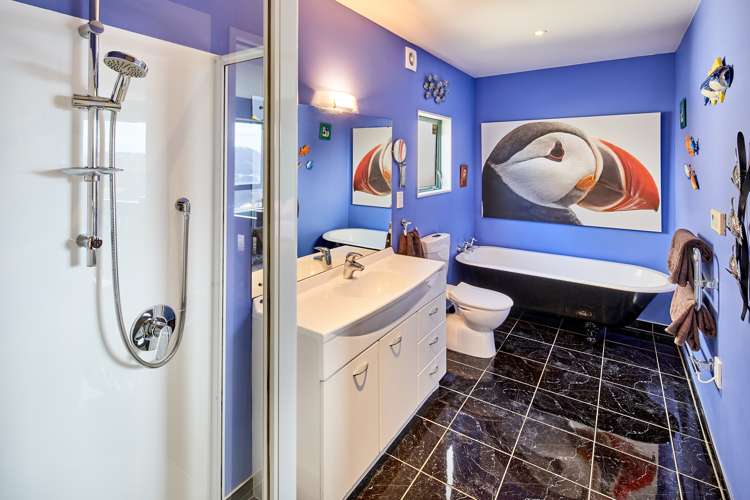 2 Pearce Street Vogeltown_12