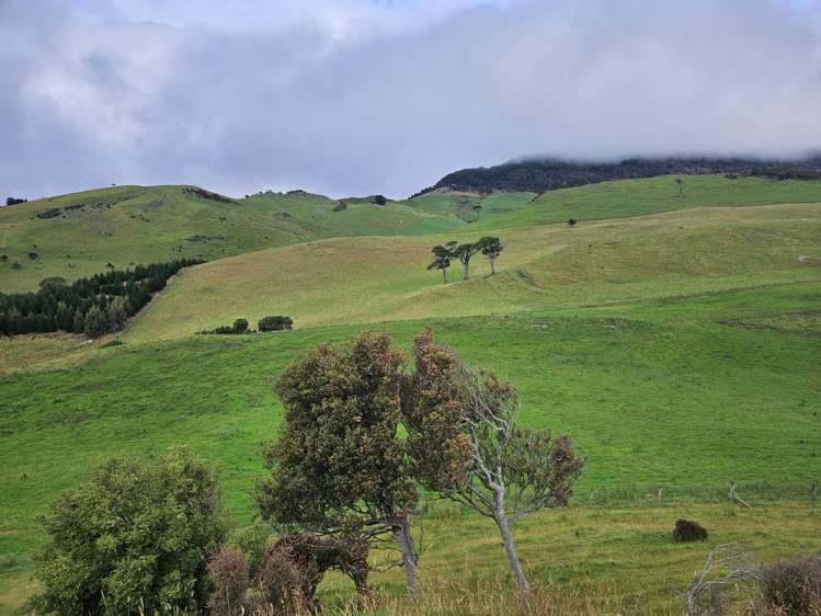 1551 Owaka Valley Road Owaka Valley_31