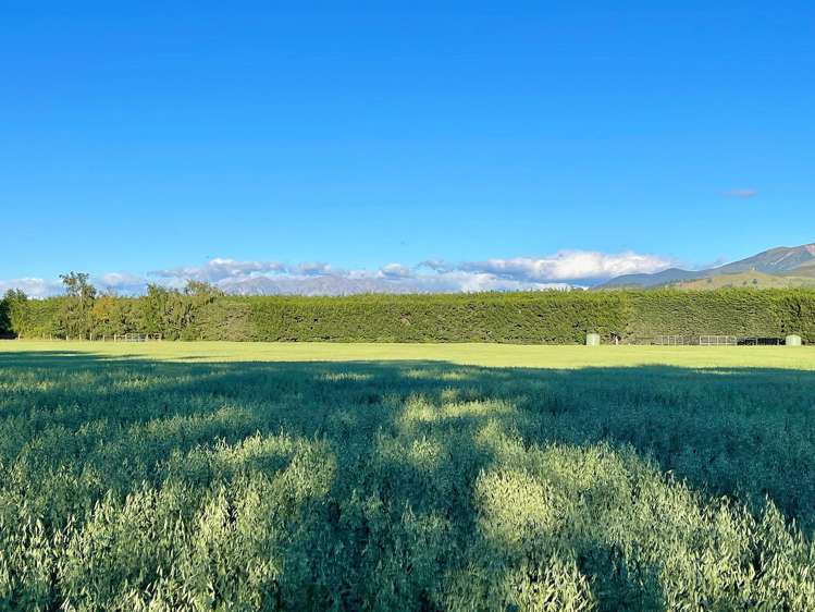 48 Gardiners Road, Starvation Hill Oxford_19