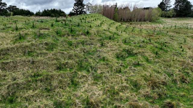 2164 Te Mai Road Tinui Valley_3