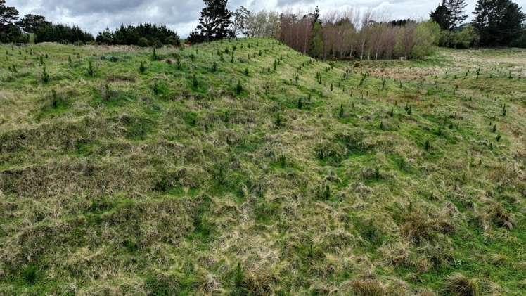 2164 Te Mai Road Tinui Valley_3