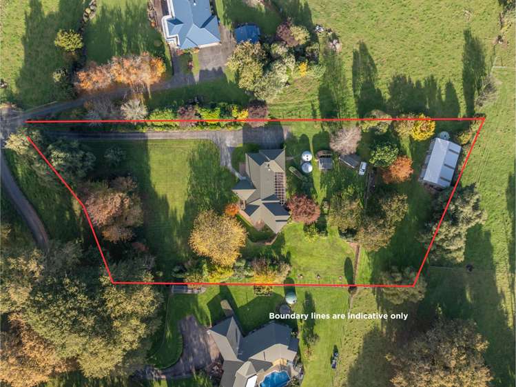 81b Horrell Road Morrinsville_26