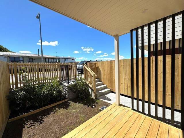 56E Cyclamen 10683_2