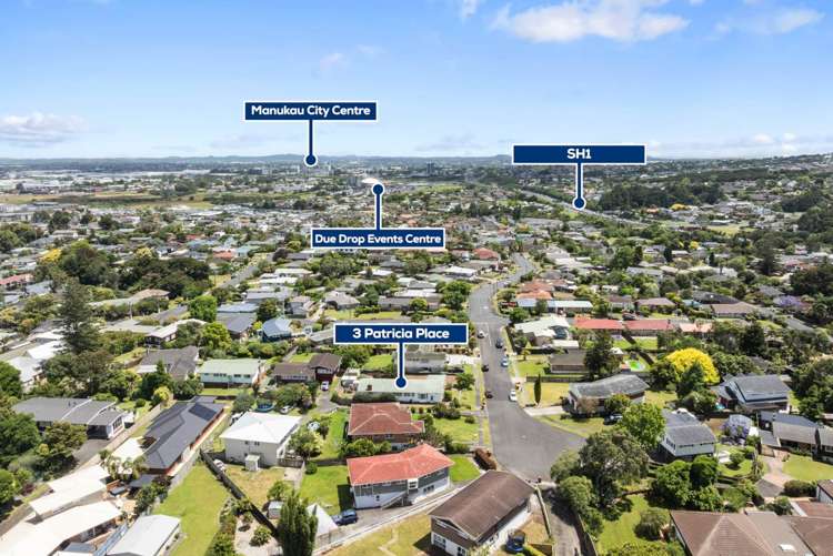 3 Patricia Place Hill Park_2