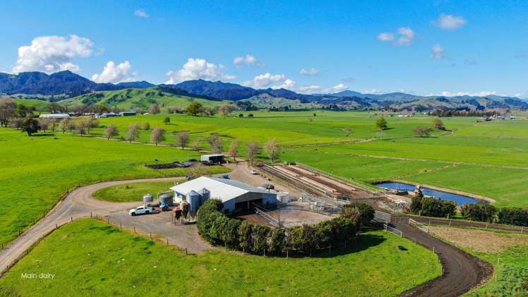 81 Station Road Puriri_4