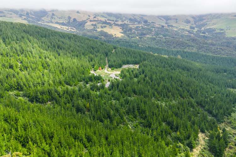 226 Middle Road Pigeon Bay_12