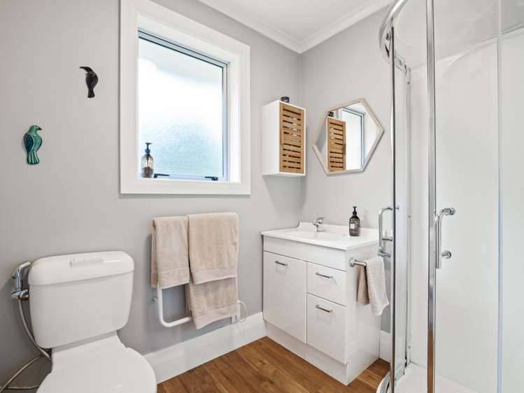 12 Mcglashan Street Glenleith_16