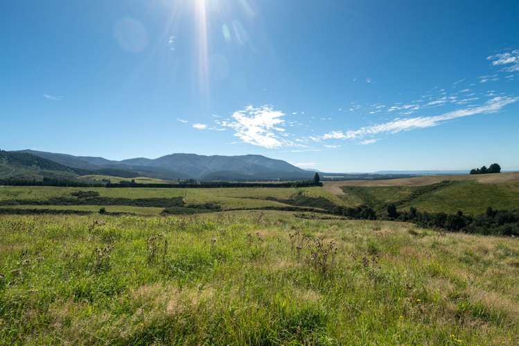 Tuscany Downs - 74 Glentui Bush Road Oxford_6