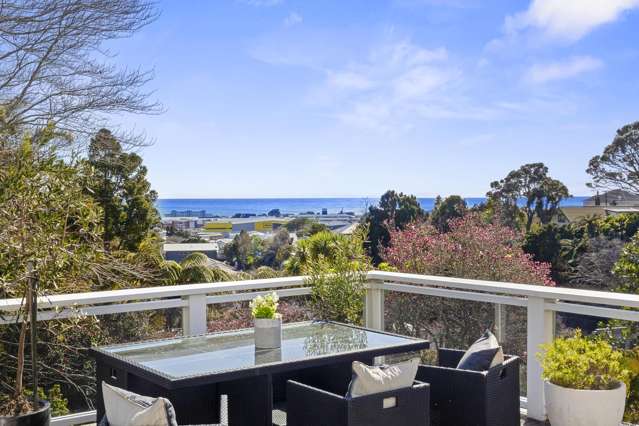 5 Rogan Street New Plymouth_3