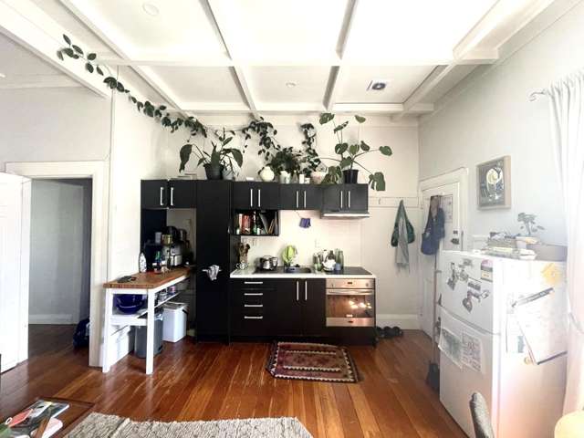 2/25 Mt Pleasant Road Mt Eden_1