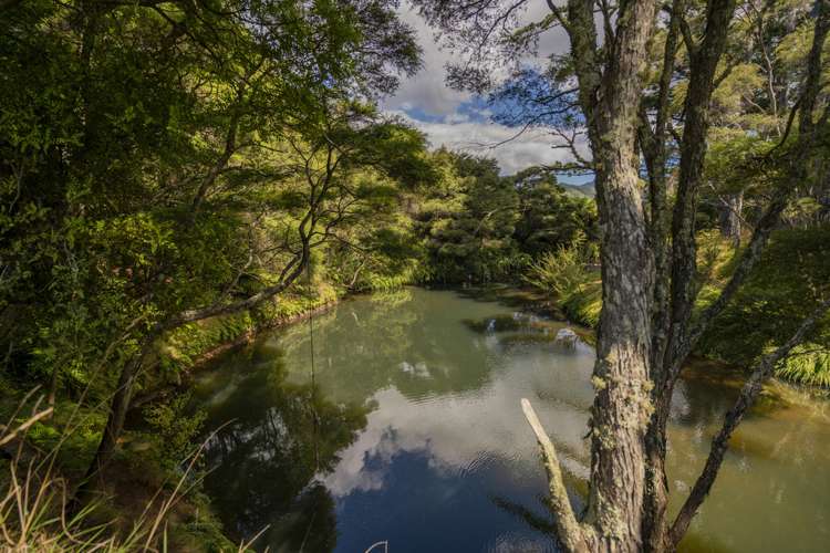 220 Mill Creek Road Kaimarama_16
