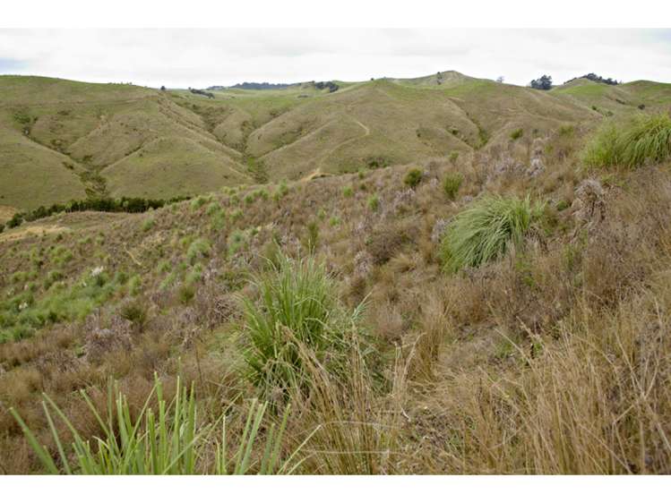 47 Haul Road Tahekeroa_17