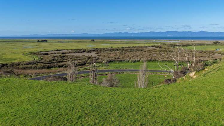 905 Miranda Road Miranda_17