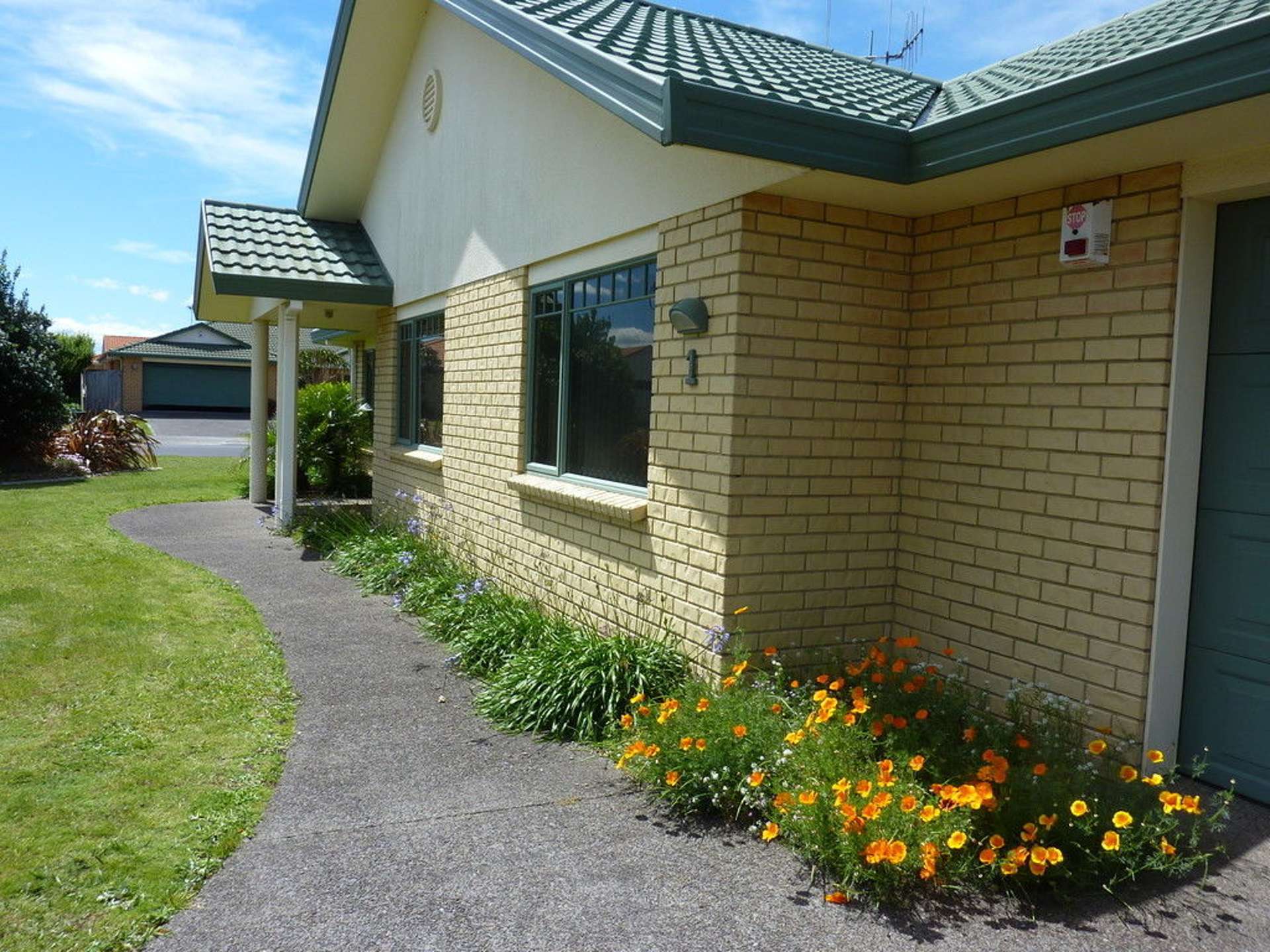 1 Francevic Avenue Mount Maunganui_0