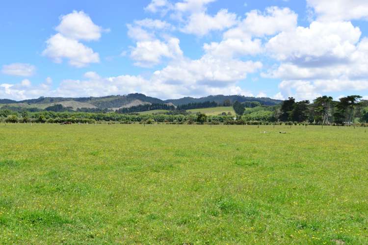 464 Woodcocks Road Warkworth_18