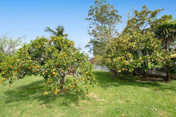 215 Parkhurst Road Parakai_8