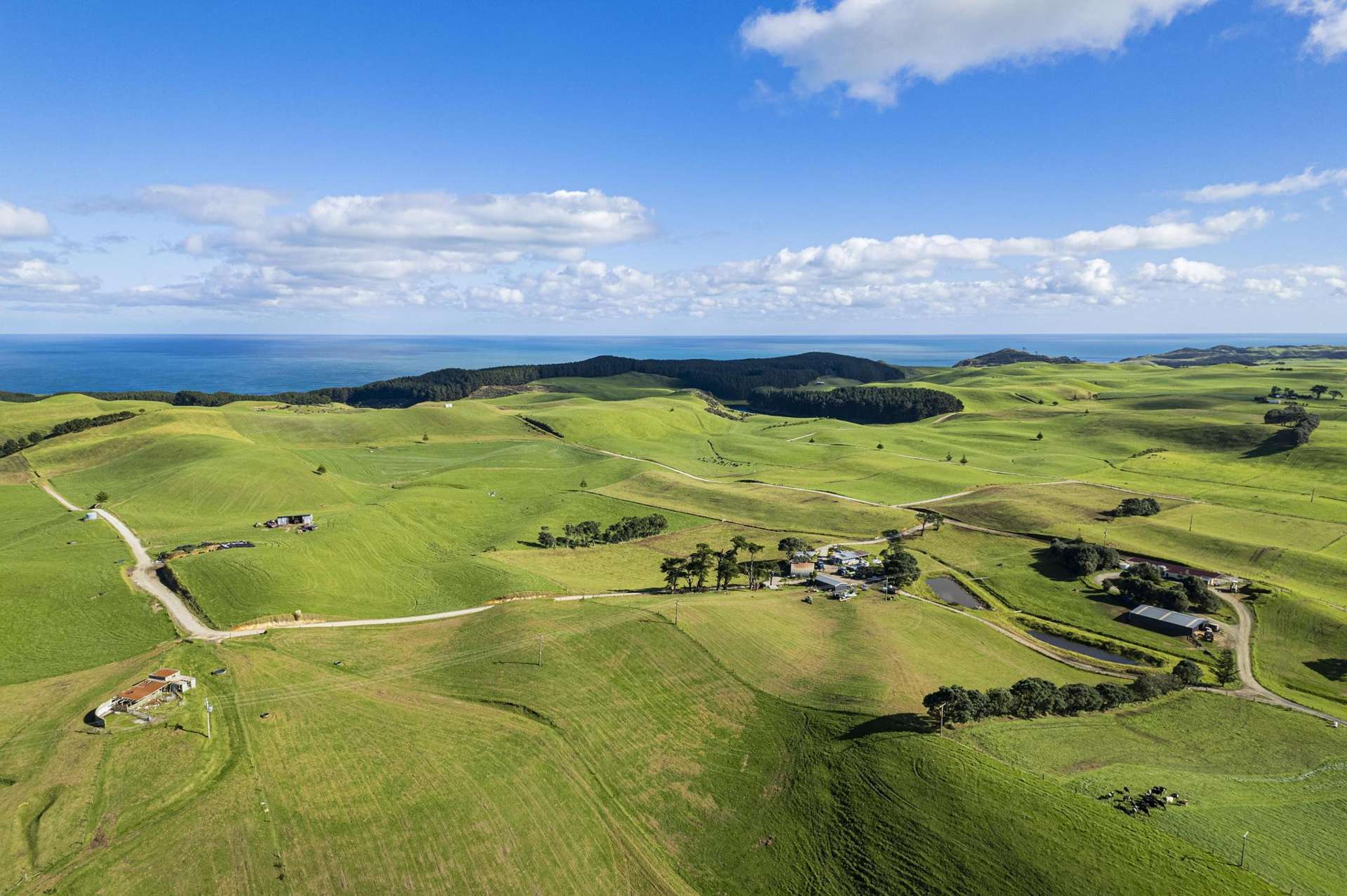 614 Te Maire Rd Te Kopuru_0