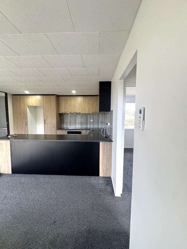 37A Metcalfe Rd Henderson_3