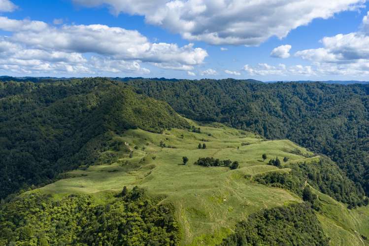 1221 Waitewhena Road Taumarunui_26