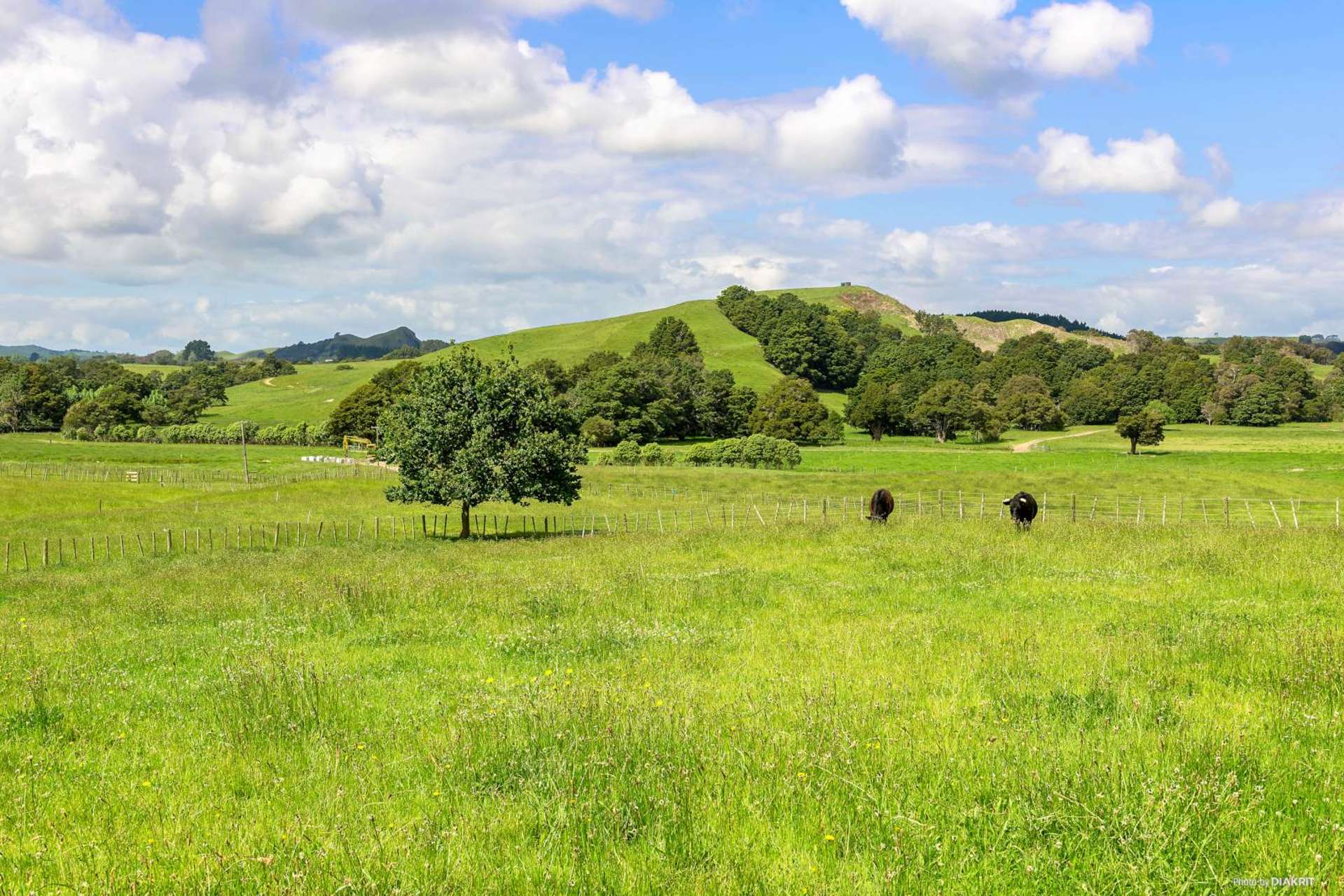 164c Maxwell Road Maramarua_0