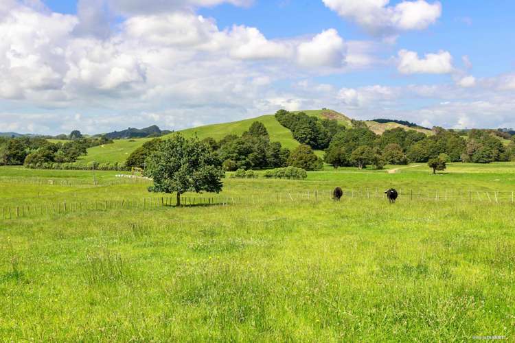 164c Maxwell Road Maramarua_0