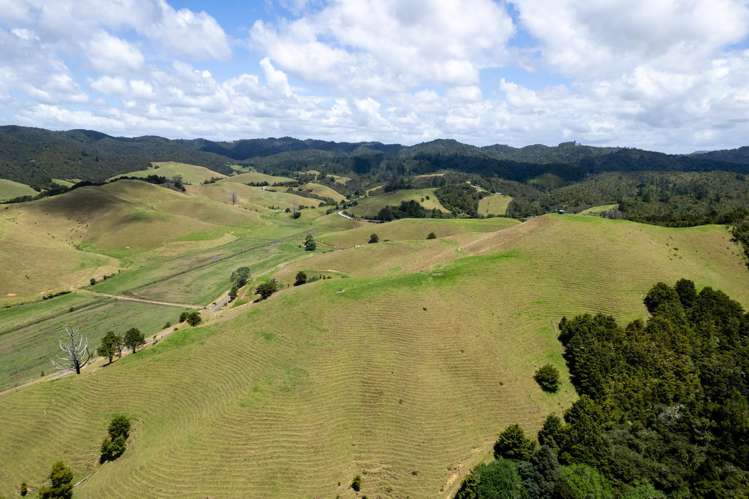 538 Hailes Road Whananaki_30