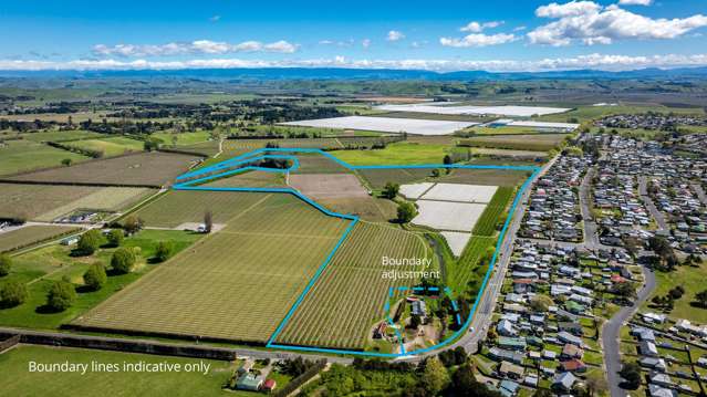 Quality Orchard – 25.9 hectares