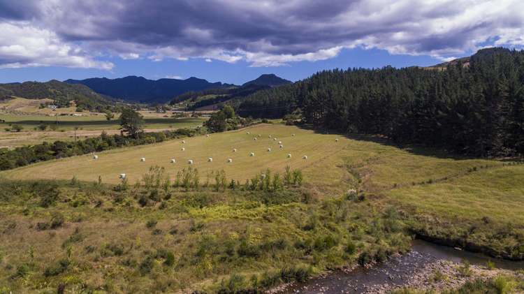 220 Mill Creek Road Kaimarama_7