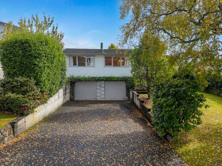 50 Mcdowell Street Springfield_21