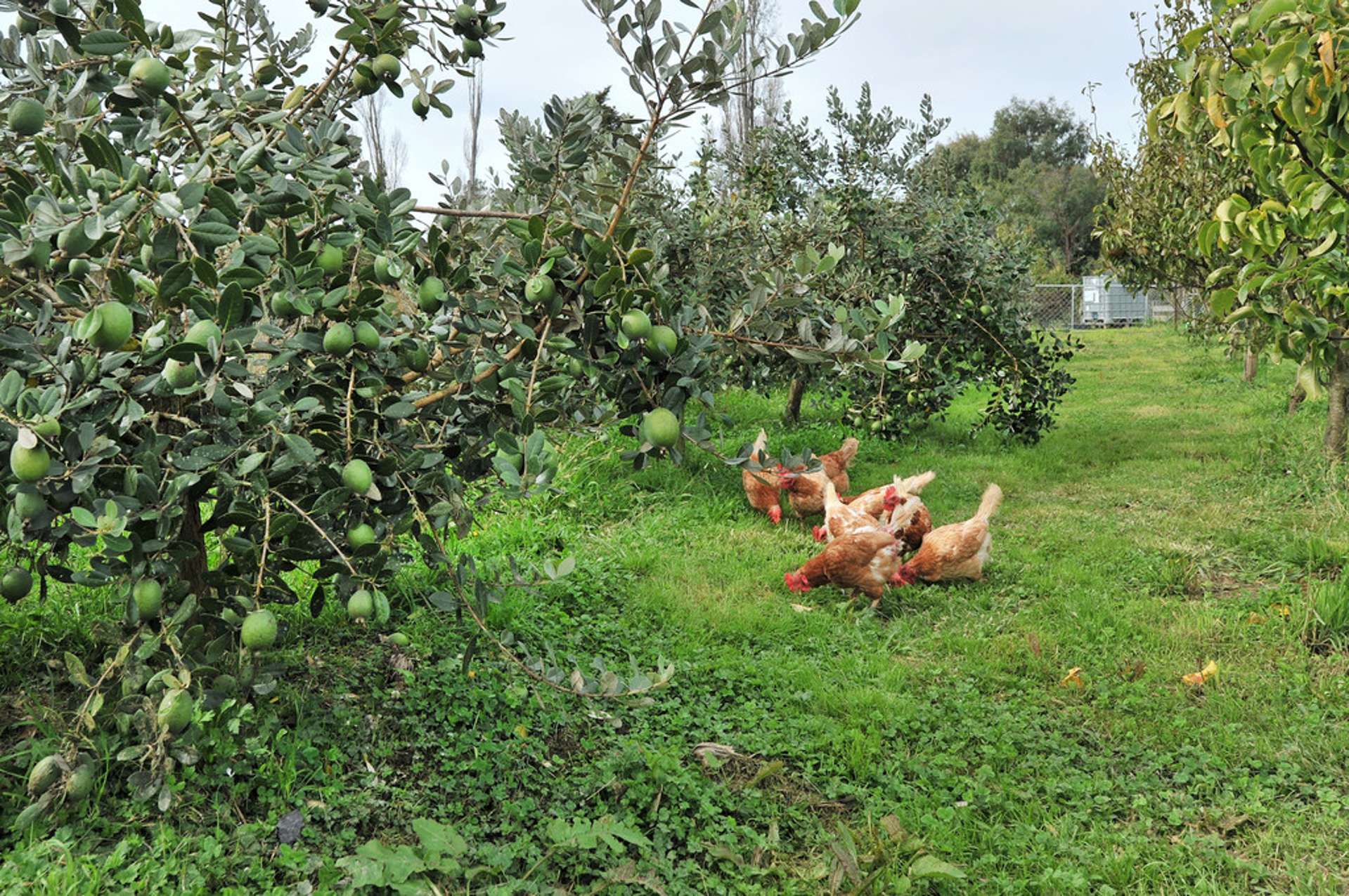 46 Old House Road Upper Moutere_0