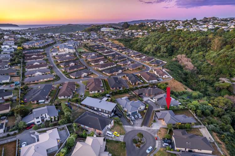 14 Tararua Close Aotea_1