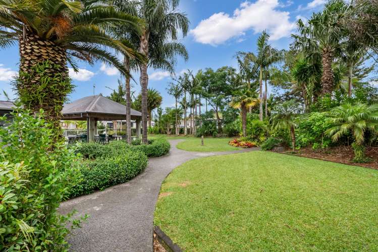 B5/71 Moir Street Mangawhai_12