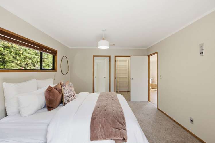 12B Cradock Street Avondale_22