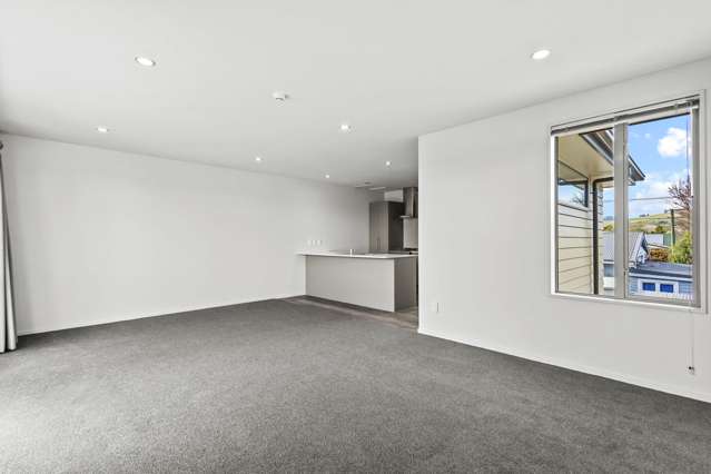 2/19 Cameron Street Sydenham_4