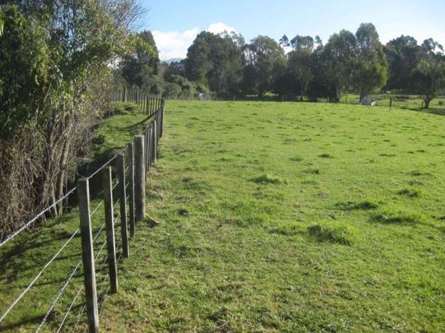 600 Tataramoa Road Rangitikei Surrounds_1