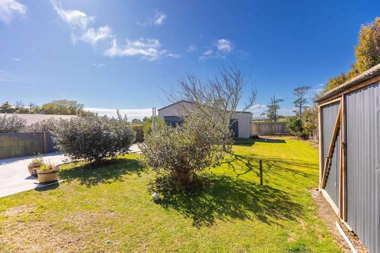 15A Carthew Street ōkato_27