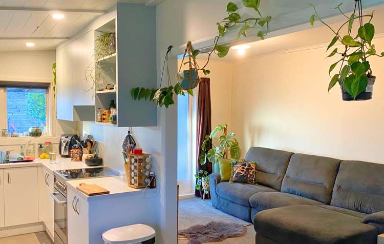 16 Havelock Street Renwick_3