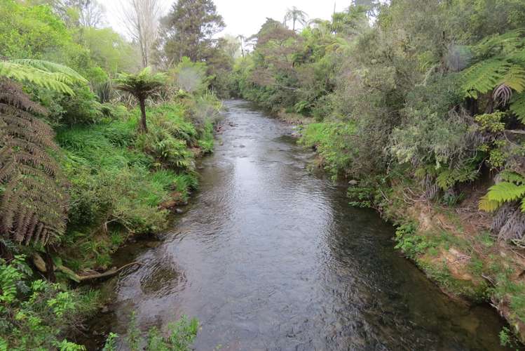 494 Waitekauri Road Waikino_15