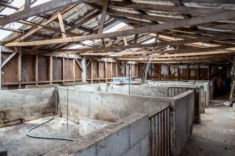 174 Opaki Kaiparoro Road Eketahuna_19