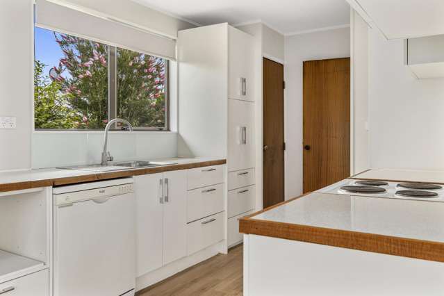 56c Pihanga Street Taupo_1