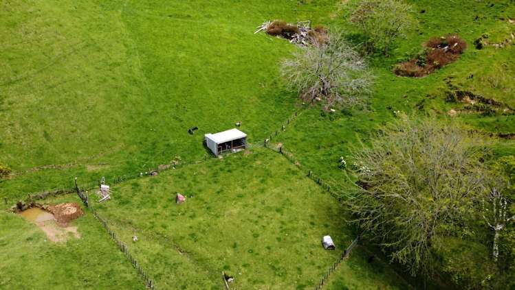 822 Motukawa Road Inglewood_21