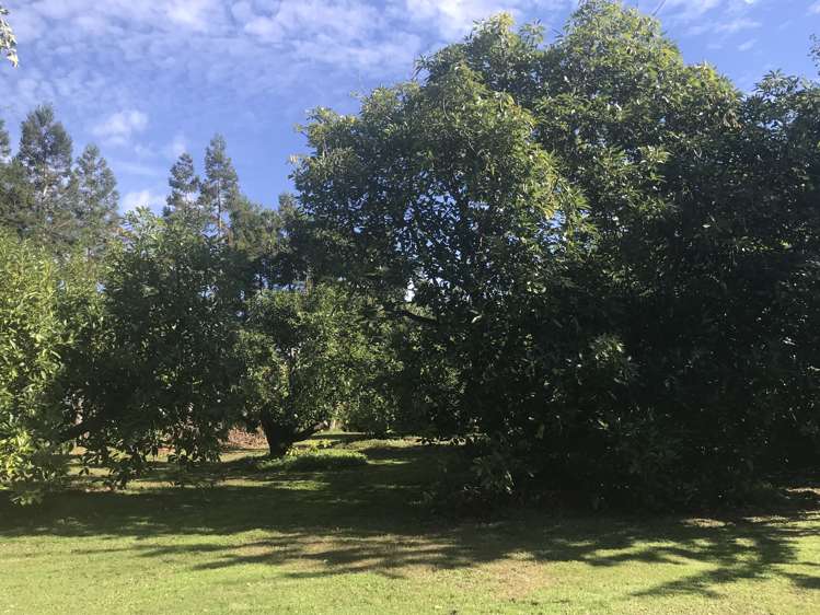 89c Merrick Road Pyes Pa_24