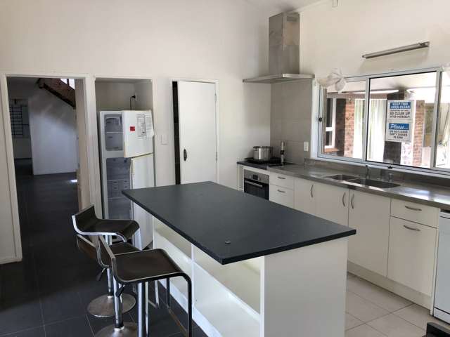 419 Mill Road Takanini_3
