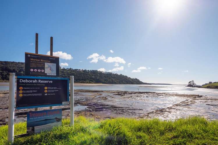 53 Okura River Road Okura_32