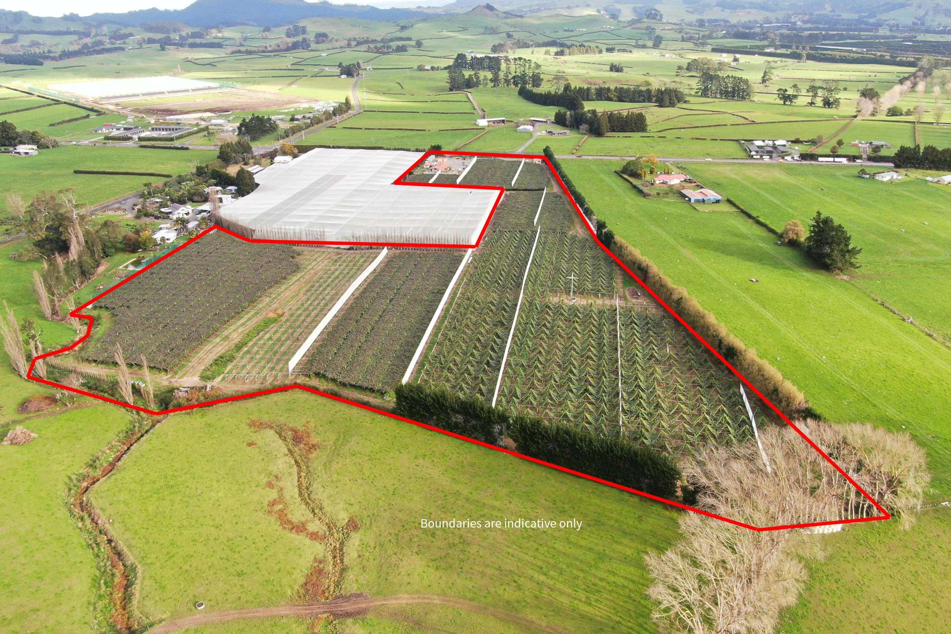 263 Waihi Beach Road Waihi_0