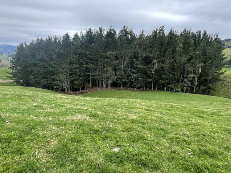 Mangakahu Valley Road Waimiha-Ongarue_20