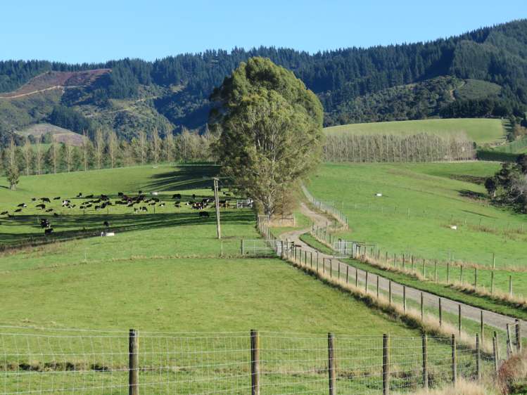 60 Woodside Road Geraldine_0