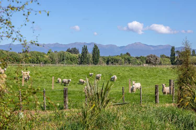 64 Matapihi Road Masterton_13