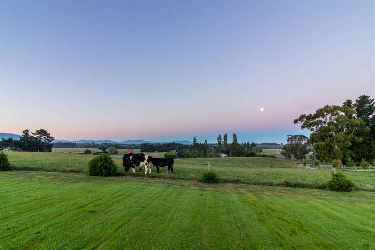 1203 Oxford Road Cust_37