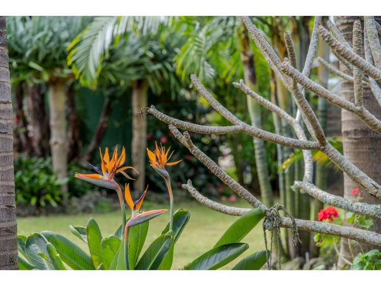 38 Cobham Road Kerikeri_32